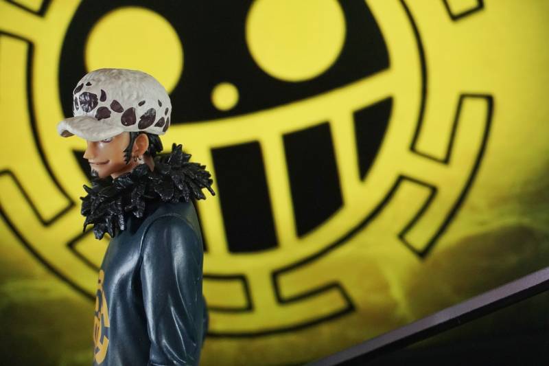 The Role of Animation in Games